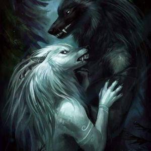 Meet your Posher, Steve